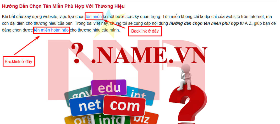 Backlink quan trọng trong SEO thế nào